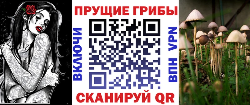 Псилоцибиновые грибы прущие грибы  Циолковский 
